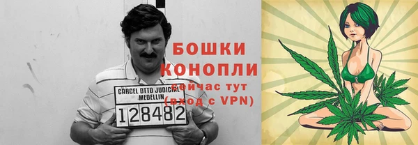 твердый Белокуриха