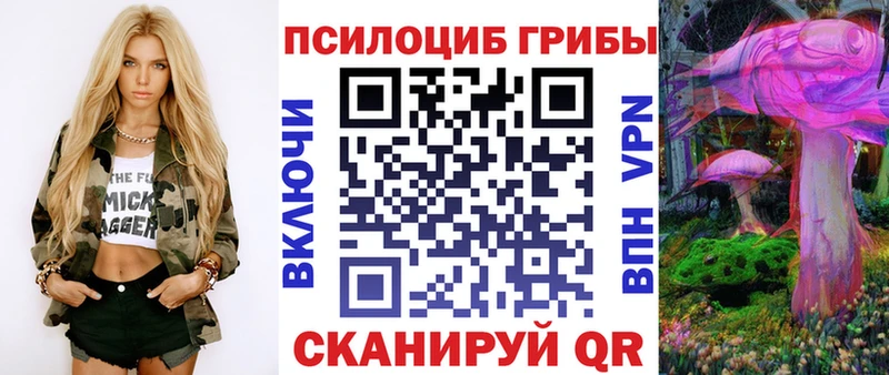 Псилоцибиновые грибы Psilocybine cubensis  Нерюнгри 